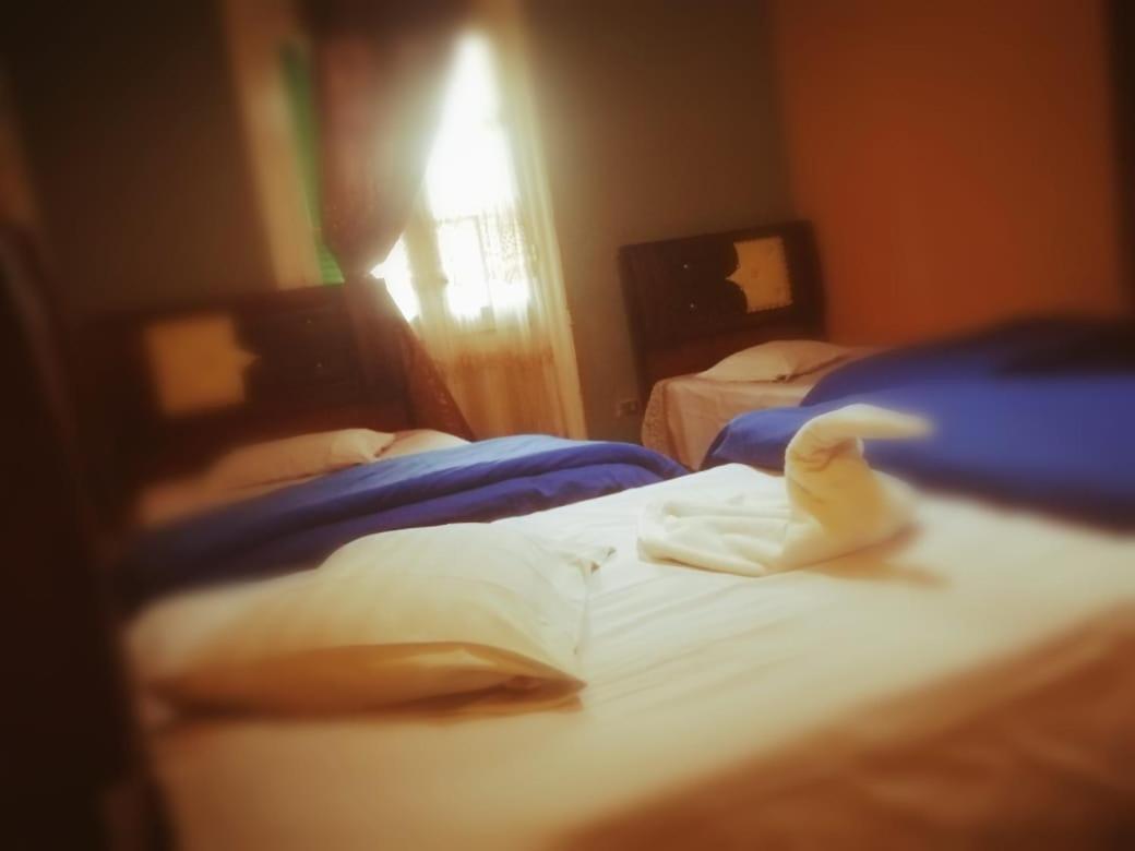 Hi Nile Plaza Hostel Kairó Kültér fotó